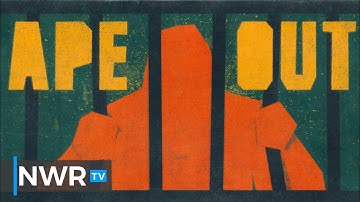 28 Minutes of Ape Out Gameplay (PC Direct Feed)