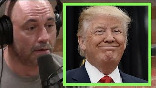 Joe Rogan - Donald Trump is Gonna Win Again (Because of Crazy Progressives)