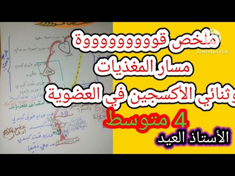 ملخص قوووووووووة مسار المغذيات وثنائي الأكسجين في العضوية 4 متوسط 2024
