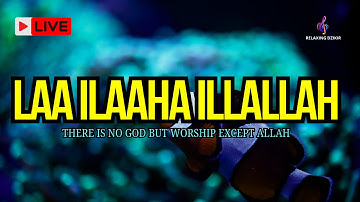 LAILAHAILLALLAH: Peaceful Dzikir for a Calm Mind And Reduce Strees#25