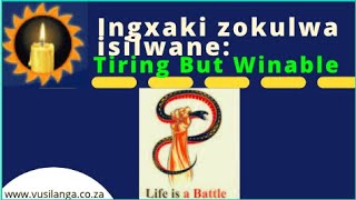 Ingxaki zokulwa ne silwane | Some call it ONE SIDED WAR OF ATTRITION