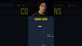 The Market Didnt Really Crash...