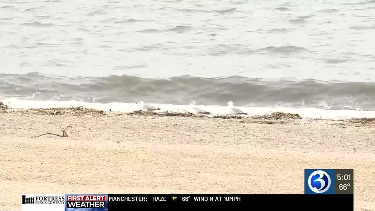 Stratford police cracking down on beach takeovers - YouTube