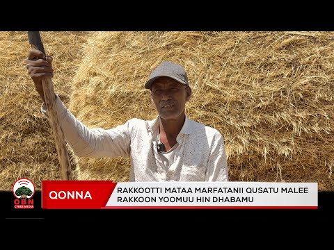 Midhaan Calleeffame Utuu Mana Hin Gahiin Gabaa Baasuun Safuudha Hayyoota Aadaa 