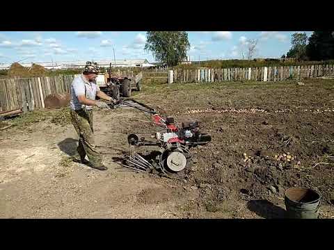 Угра картофелекопалка