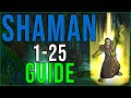 Is Dual Wield Bad? Beginner Shaman 1-25 Lvling Guide SoD WoW