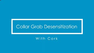 Collar Grab Desensitization with Cork