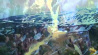 New Native - "Wallow"