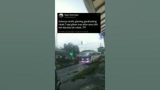 STORY WA QUOTES BUS || DJ aku Bete sama kamu aku sebel sama kamu || LAJU PRIMA ac59 'Fedenal'