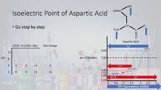 Calculating iso electric point Aspartic Acid