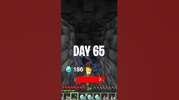 DAY 65 - MINING DIAMONDS for a PLAY BUTTON!