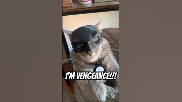 Batman Cat Mask #3dprinting