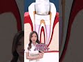 徹底解説 神経治療の流れ Shorts 歯医者 根管治療 徹底解説 神経治療の流れ Shorts 歯医者 根管治療