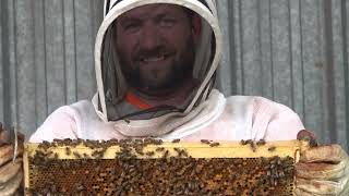 Biodiversity is the BUZZ word at DS Smith's Reading Paper Mill