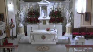 First Anniversary of the Passing of David Mazzarella (17 July 2026 at 12:05 p.m. Mass)
