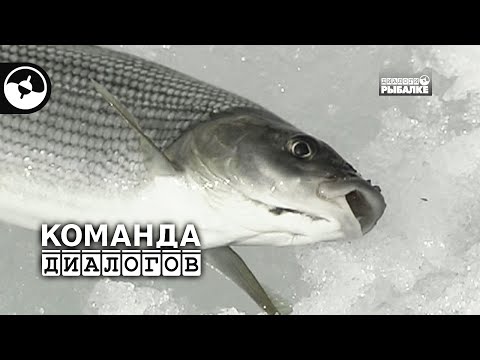 Зимняя рыбалка. Четвертая неделя марта | Календарь рыболова