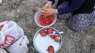 Tere Yağlı Nar Reçeli Tarifi