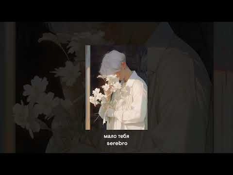 Я схожу с ума мне мало мало мало тебя серебро Speed Up Tiktok Remix 