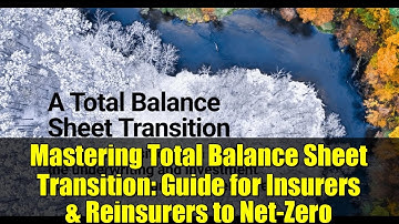 Mastering Total Balance Sheet Transition: Guide for Insurers & Reinsurers to Net-Zero