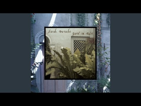 Sarah Davachi — Auster