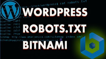 How to create robots.txt for Wordpress manually