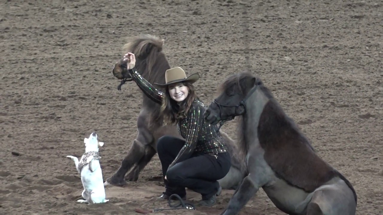 Dally & Spanky - Night of the Horse 2018 - Del Mar National Horse Show