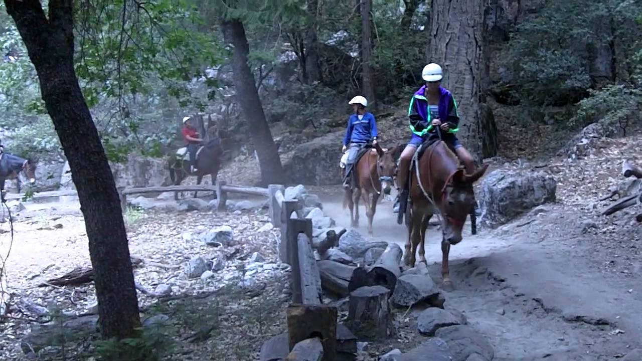 Yosemite horseback riding YouTube