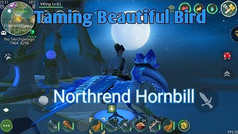 How to make feed Northrend Hornbill/Ice Bird and Taming It!!! |Utopia Origin|