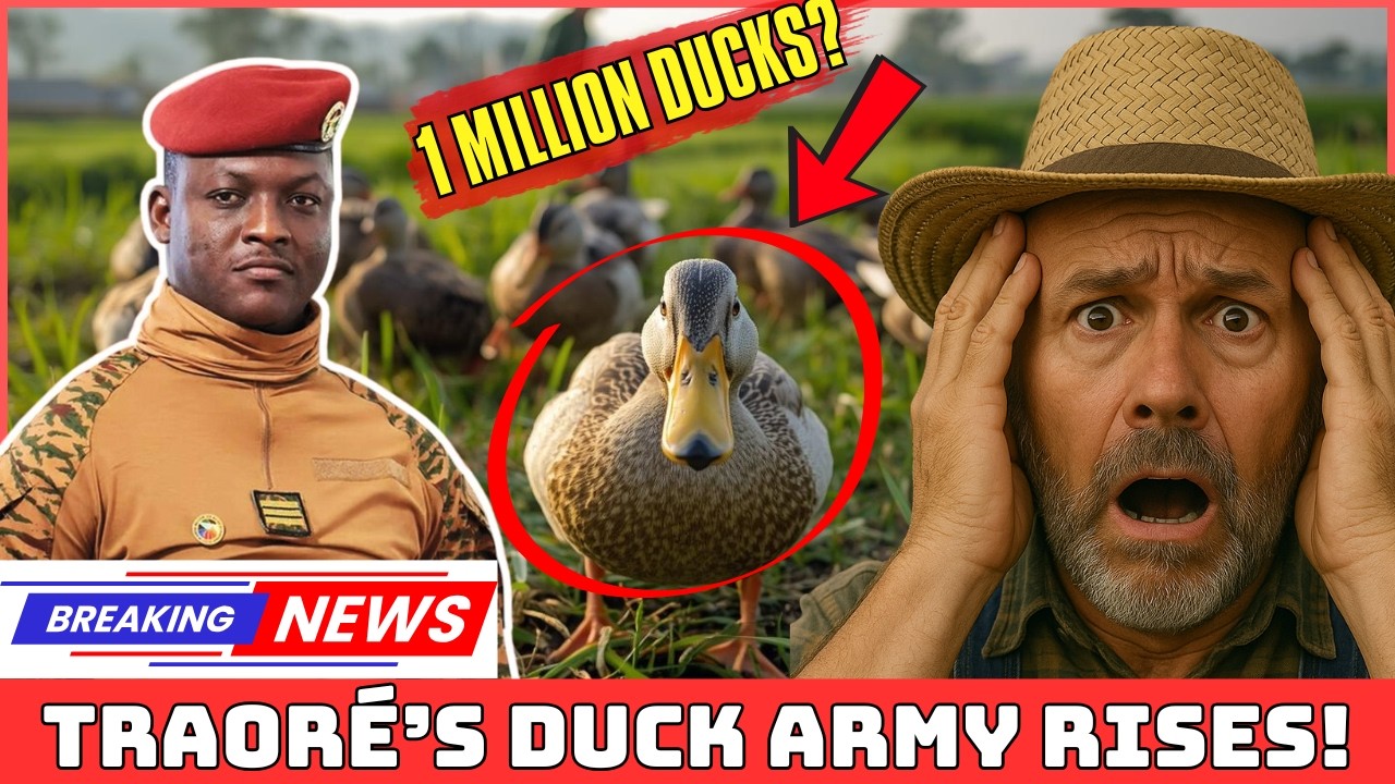 Burkina Faso SHOCKS the World: Traoré’s Duck Army Rises! Burkina Faso