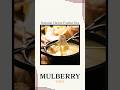 "National Cheese Fondue Day" with Mulberry Tree