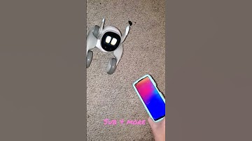 Know what your Loona is thinking.