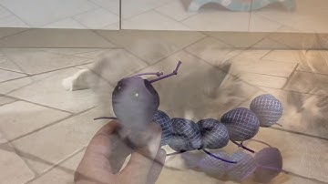 Kong critters nibble cantnipillar