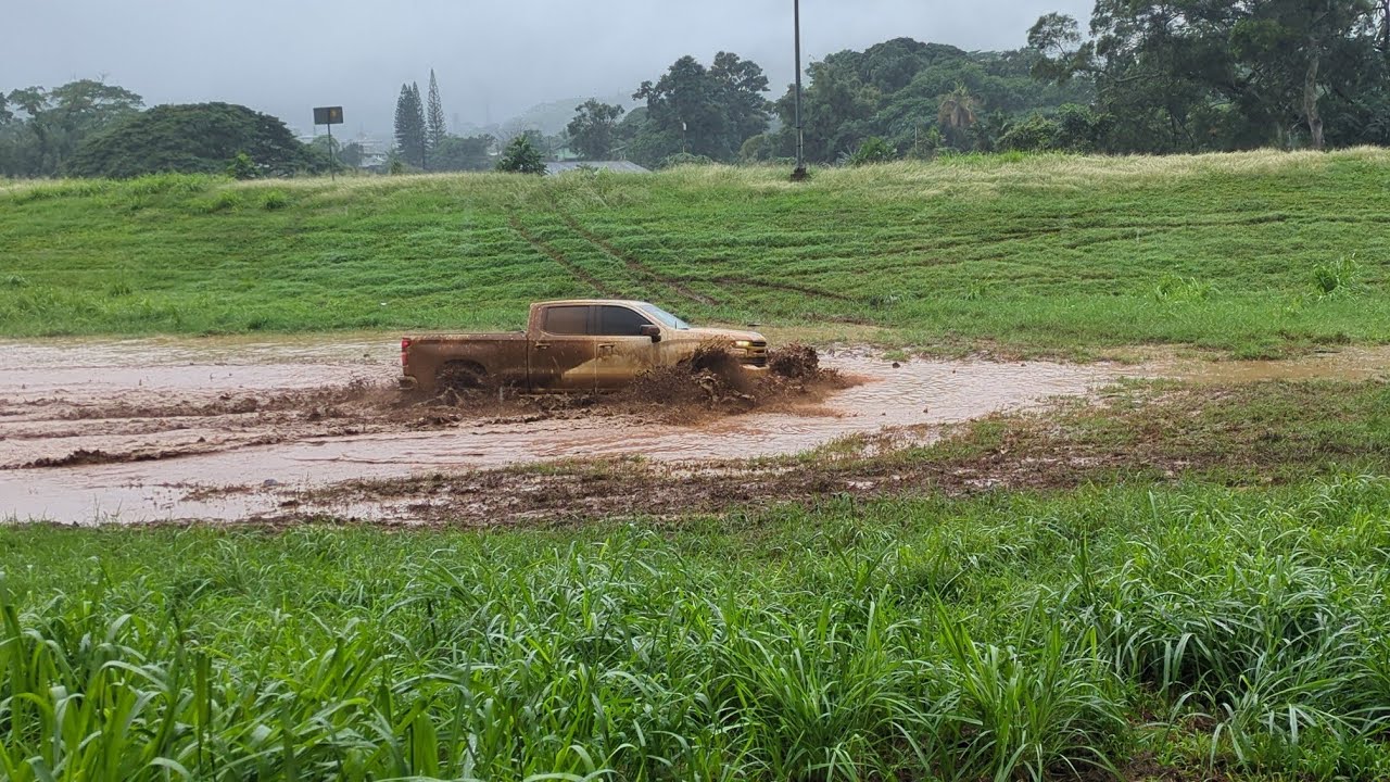 Ruff Inna Town (EQ) - Lion D