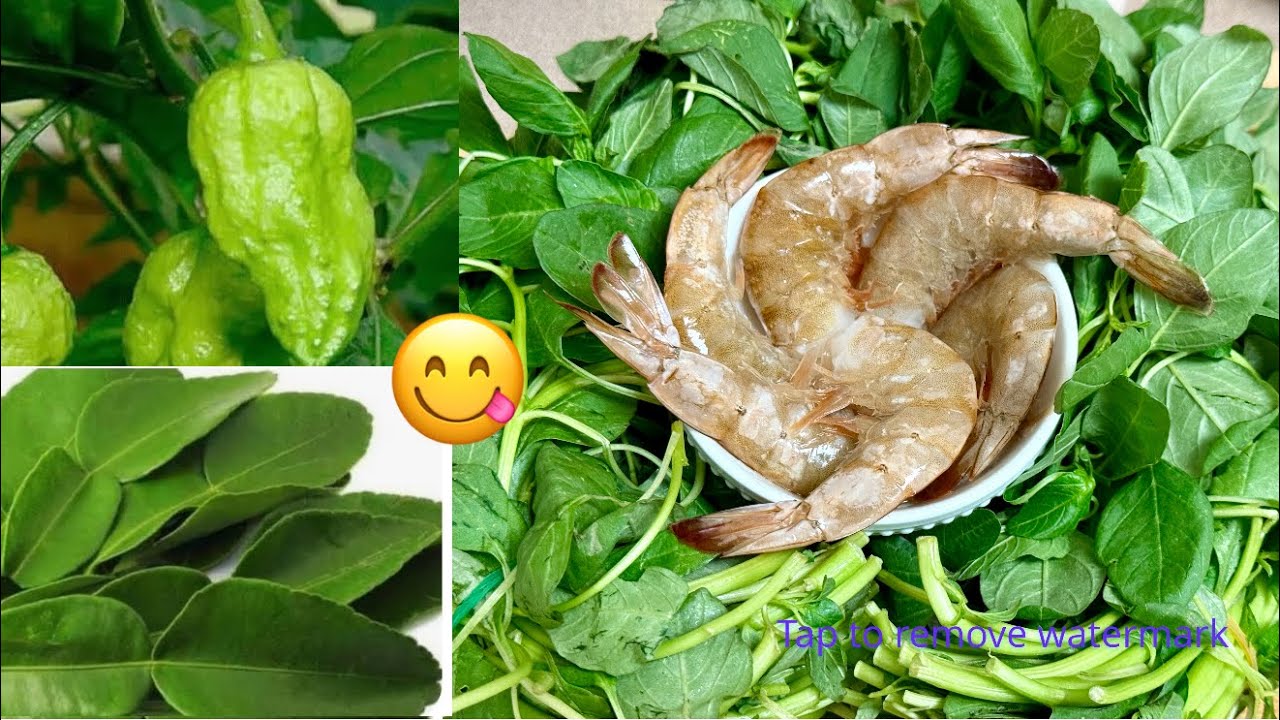 Data Shak Vaji with Shrimp and lemon leaf / naga chilli / ডাটা শাক ভাজি এক বার খেলে স্বাদ মনে থাকবে 