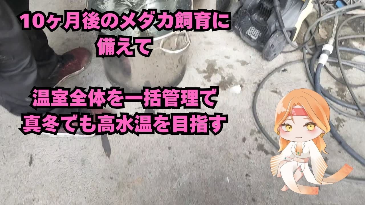 メダカ飼育の温室に4000Wヒーターだって無駄遣いするなよ