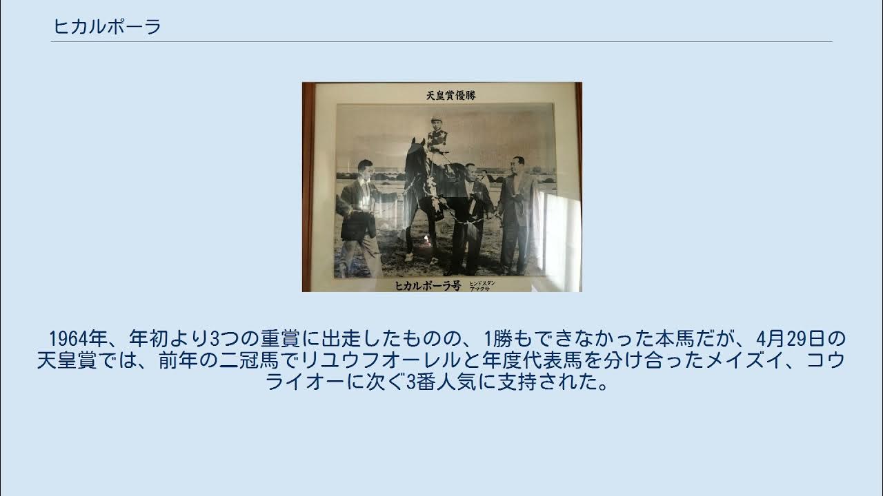 ヒカルポーラ YouTube