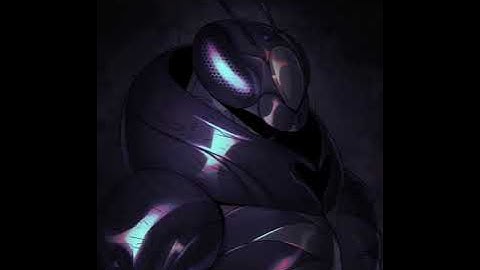 Mini CSP Timelapse: Carpenter Bee portrait