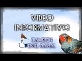 VIDEO INFORMATIVO - Cambios en el canal.