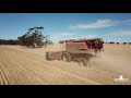 Harvest 2018 Freeling South Australia