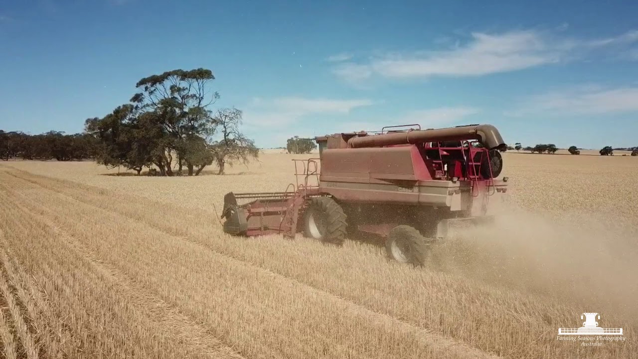 Harvest 2018 Freeling South Australia