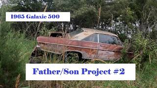 Ep. 3  1965 Ford Galaxie // Fence Line Find!!  Will we finally get one to run News