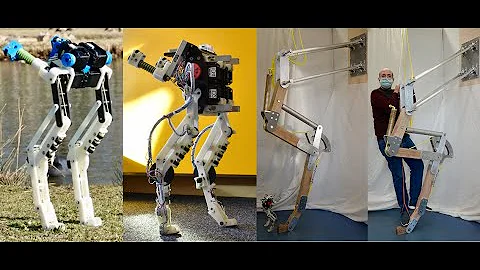 BirdBot achieves energy-efficient gait with minimal control using avian-inspired leg clutching