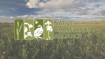 Native Grasslands Alliance Introduction