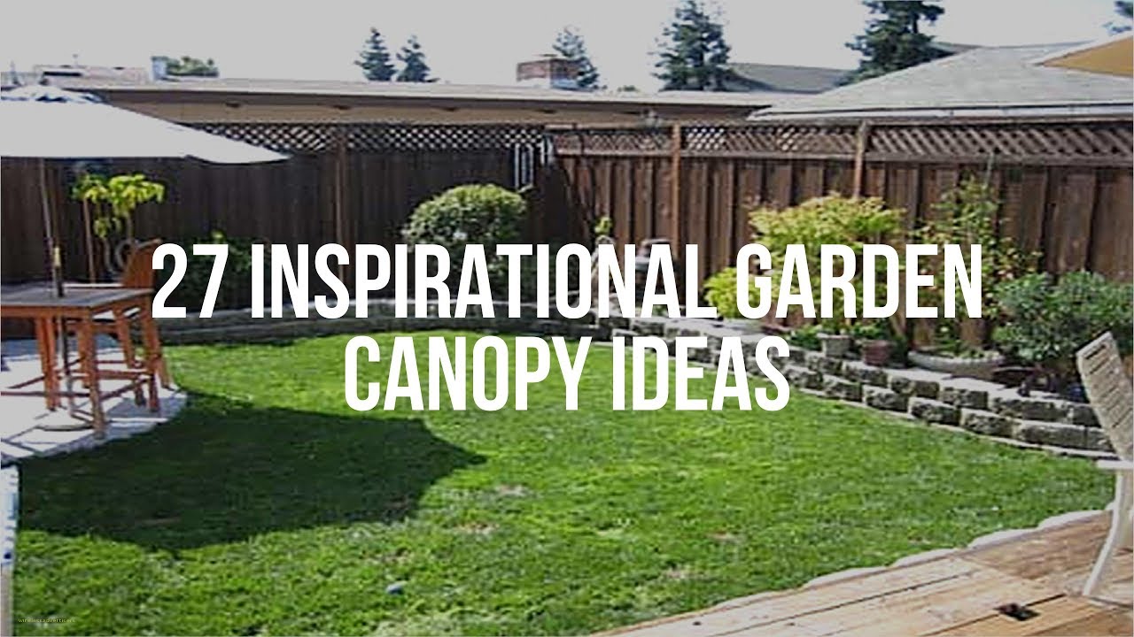 🔴 27 Inspirational GARDEN CANOPY IDEAS