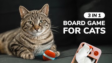 Cheerble Board Game - Keep your cat happy when you’re away.
