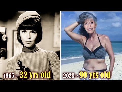 GET SMART (1965–1970) Cast: Then and Now 2023, Who Else Survives After 58 Years?