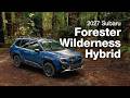 Introducing the new 2027 Subaru Forester Wilderness Hybrid