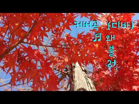 #왜불러#디바 90년대걸그룹#드라이빙뮤직