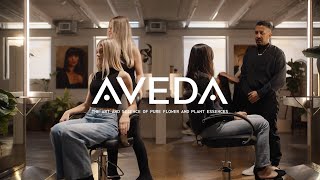 Your Journey To Achieving Vibrant, Healthy Color | Hair In Chairs | Aveda