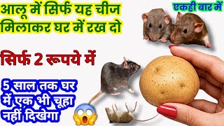 घर में चूहे घुसना बंद! आलू का Powerful Jugaad/Rat Control Home Remedy | Desi Jugaad
